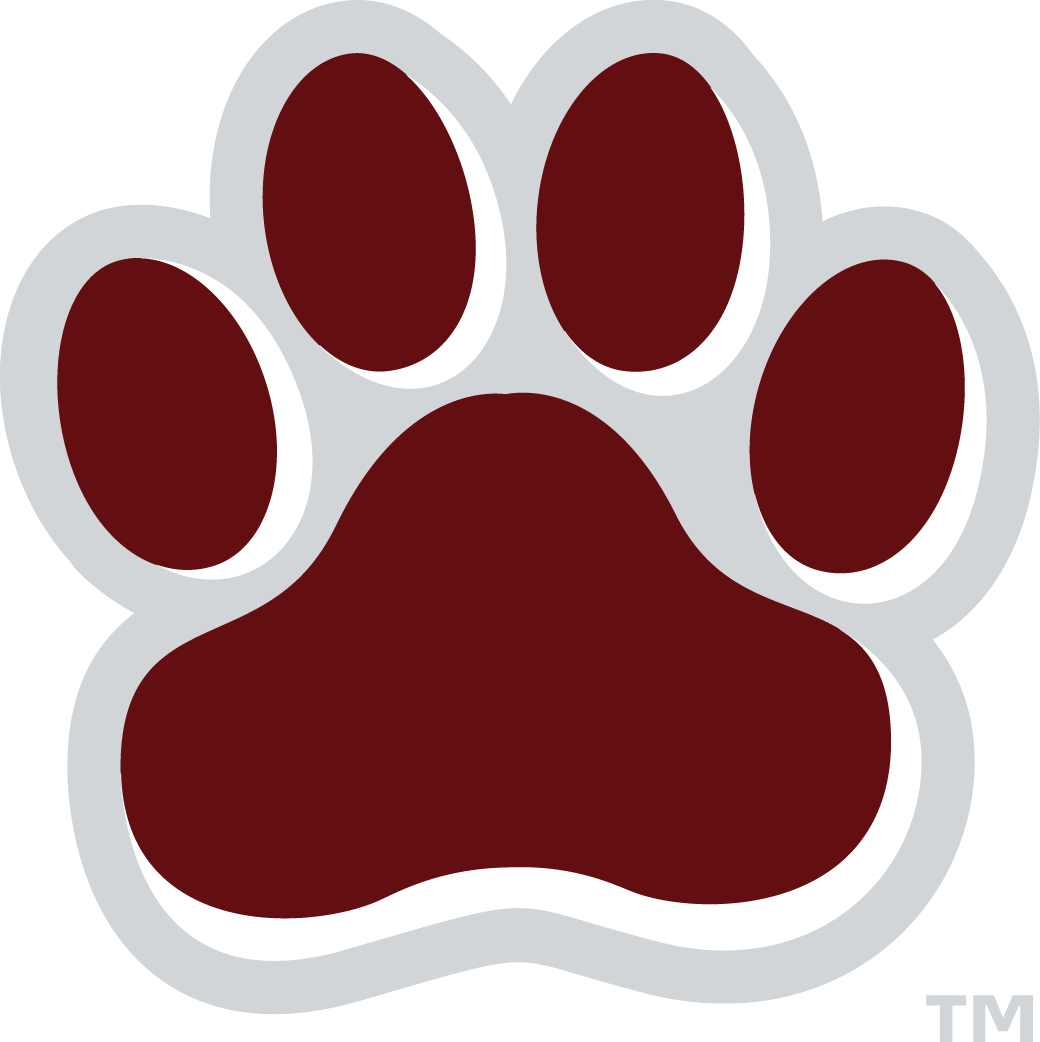 Mississippi State Bulldogs 2009-Pres Alternate Logo v5 diy iron on heat transfer